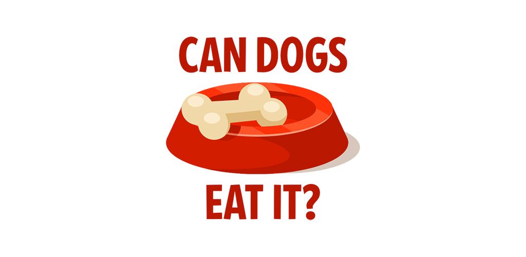 Can Dogs Eat It?